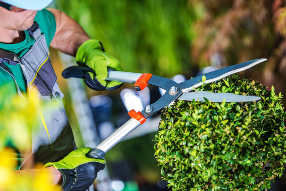 landscaping-services-in-Liverpool-ausgroup-maintenance-services